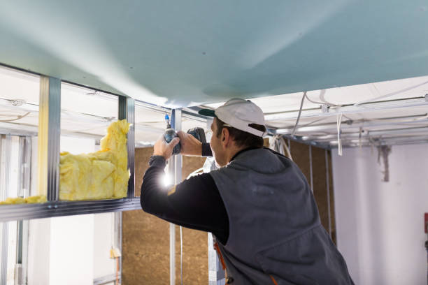 Best DIY Insulation Kits and Guidance in Cherryland, CA