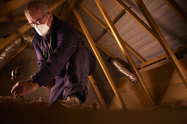 Best Insulation Maintenance and Repair in Cherryland, CA